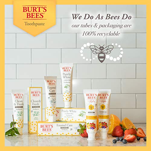 Burt\'s Bees Kids Toothpaste, Fluoride Free, Fruit Fusion, 4.2 Oz, Pack of 4