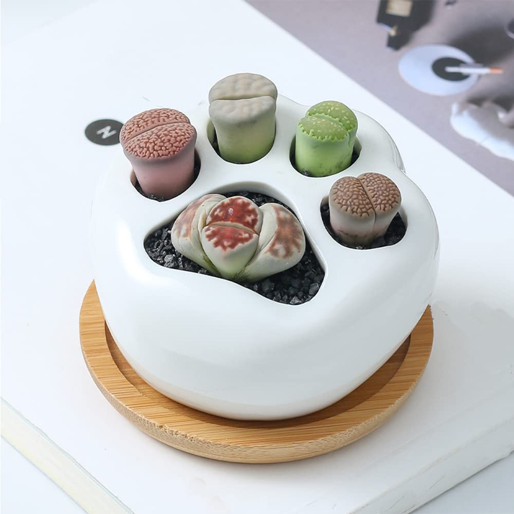 Amazon.co.jp: ミニ植木鉢 肉球の植木鉢 陶器 室内栽培 多肉植物鉢