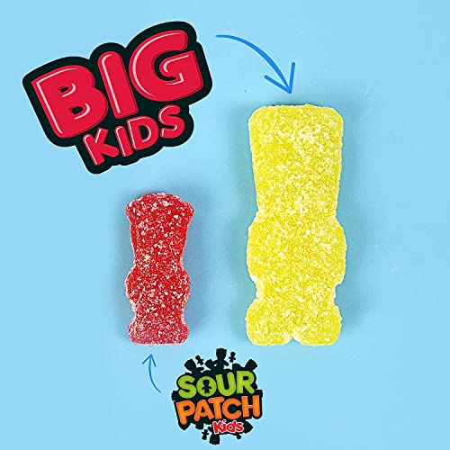 Sour Patch Kids Big Soft & Chewy Candy - Indvidually Wrapped Big Kids Gummy Candy - 250 Pieces - 3 Pound Bulk Pack #TOP3