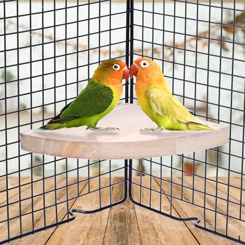 Image of Bird Perch Stand, Wooden Platform for Parrots, Canaries, Cockatiels, Finches, Budgies, Lovebirds, Hamsters, Guinea Pigs, Chinchillas