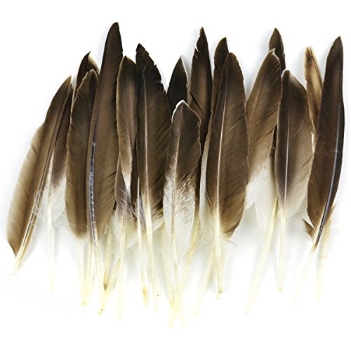 Touch of Nature 22-Piece Duck Wing Quills for Arts and Crafts, 8-Inch, Natural/Grey