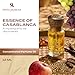 Swiss Arabian Essence of Casablanca Perfume Oil 12ml