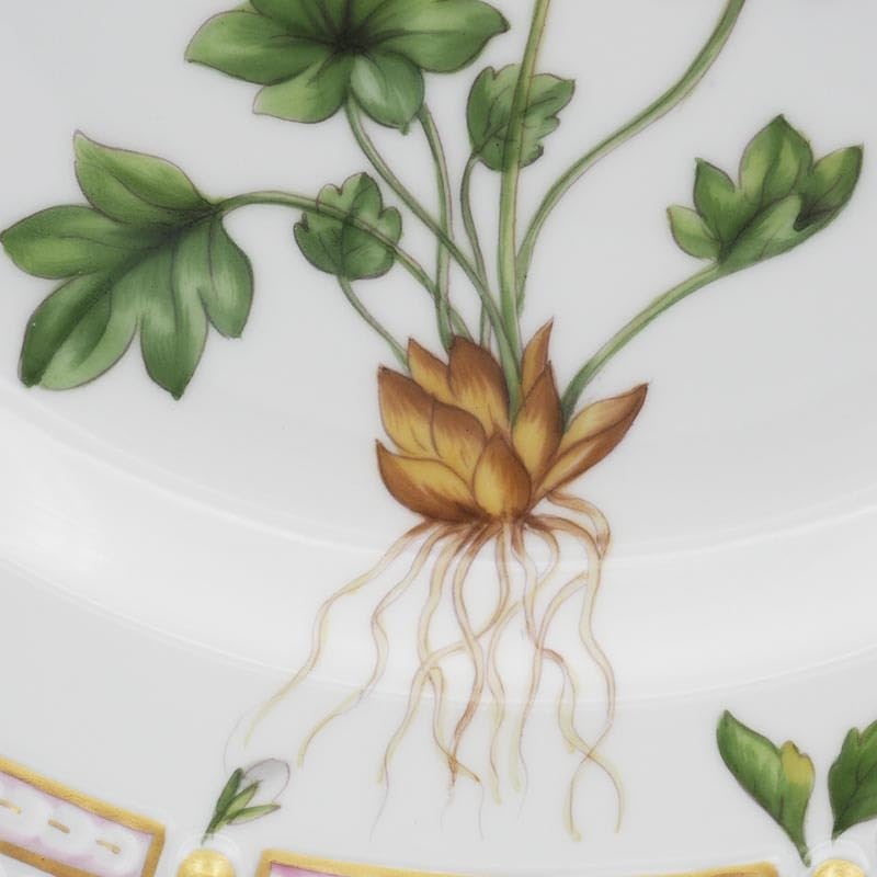 Amazon.co.jp: 最高傑作 ロイヤルコペンハーゲン フローラダニカ