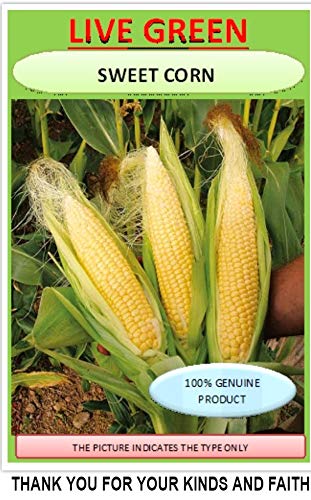 LIVE GREEN Sweet Corn Organic F1 Hybrid Seeds, red, (TPLDSED138) (B07G2VPSFX) Amazon Price History, Amazon Price Tracker