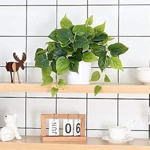 Waipfaru Faux Plants Indoor with Plastic Pots, Realistic Small Fake Plants, Fake Plants with Pothos, Fake Potted Plants, Artificial Plant for Home Shelf Bathroom Kitchen Office Indoor Outdoor Decor Waipfaru Faux Plants Indoor with Plastic Pots Realistic Small Fake Plants Fake Plants with Pothos Fake Potted Plants Artificial Plant for Home Shelf Bathroom Kitchen Office Indoor Outdoor Decor