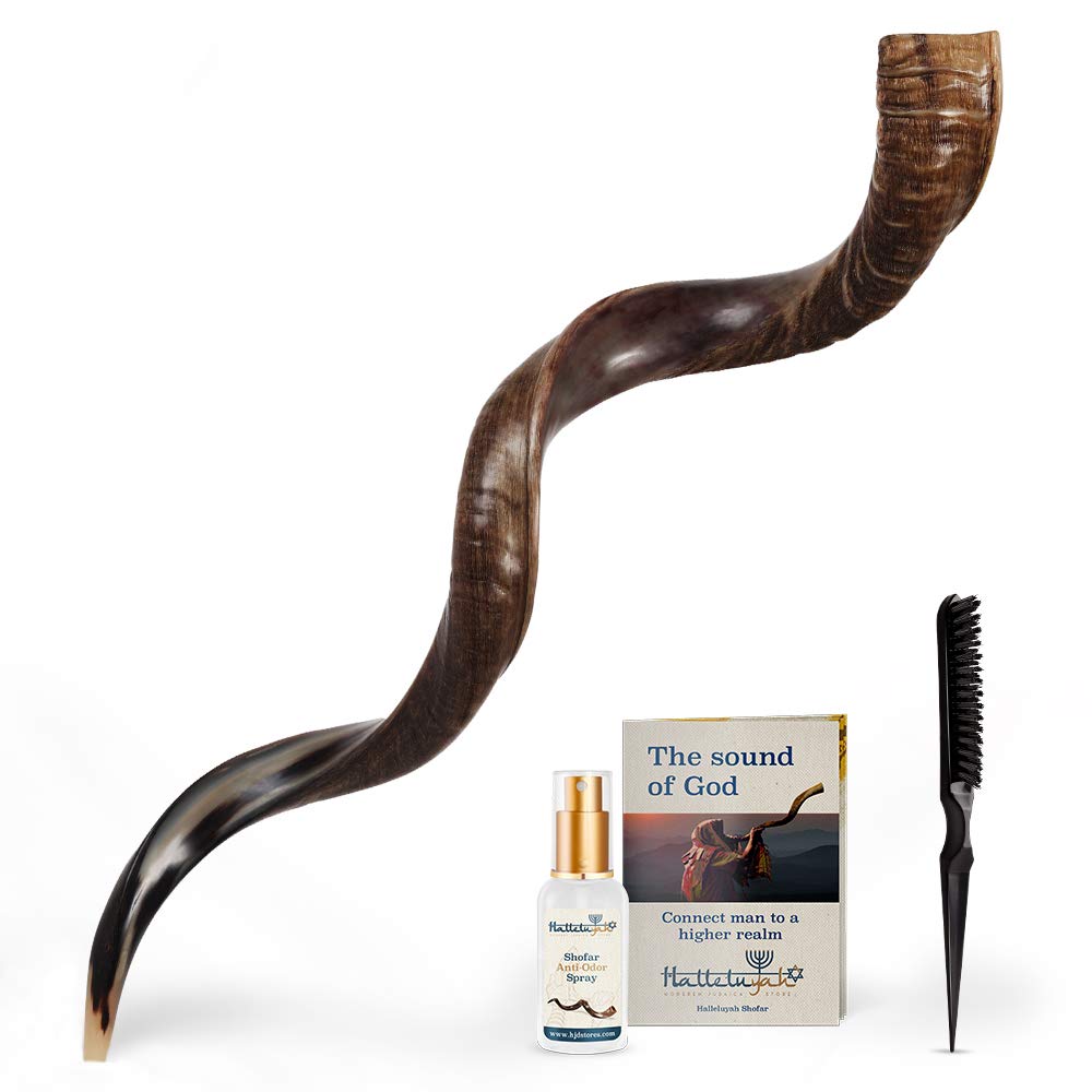Buy HalleluYAH Shofar From Israel Shofar Set 54" Half Polished Kudu