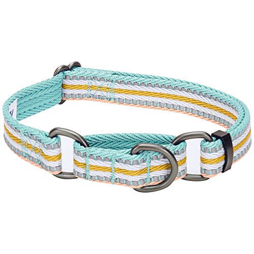11 Best Collars For Husky Reviews & Top Picks Alpha Paw