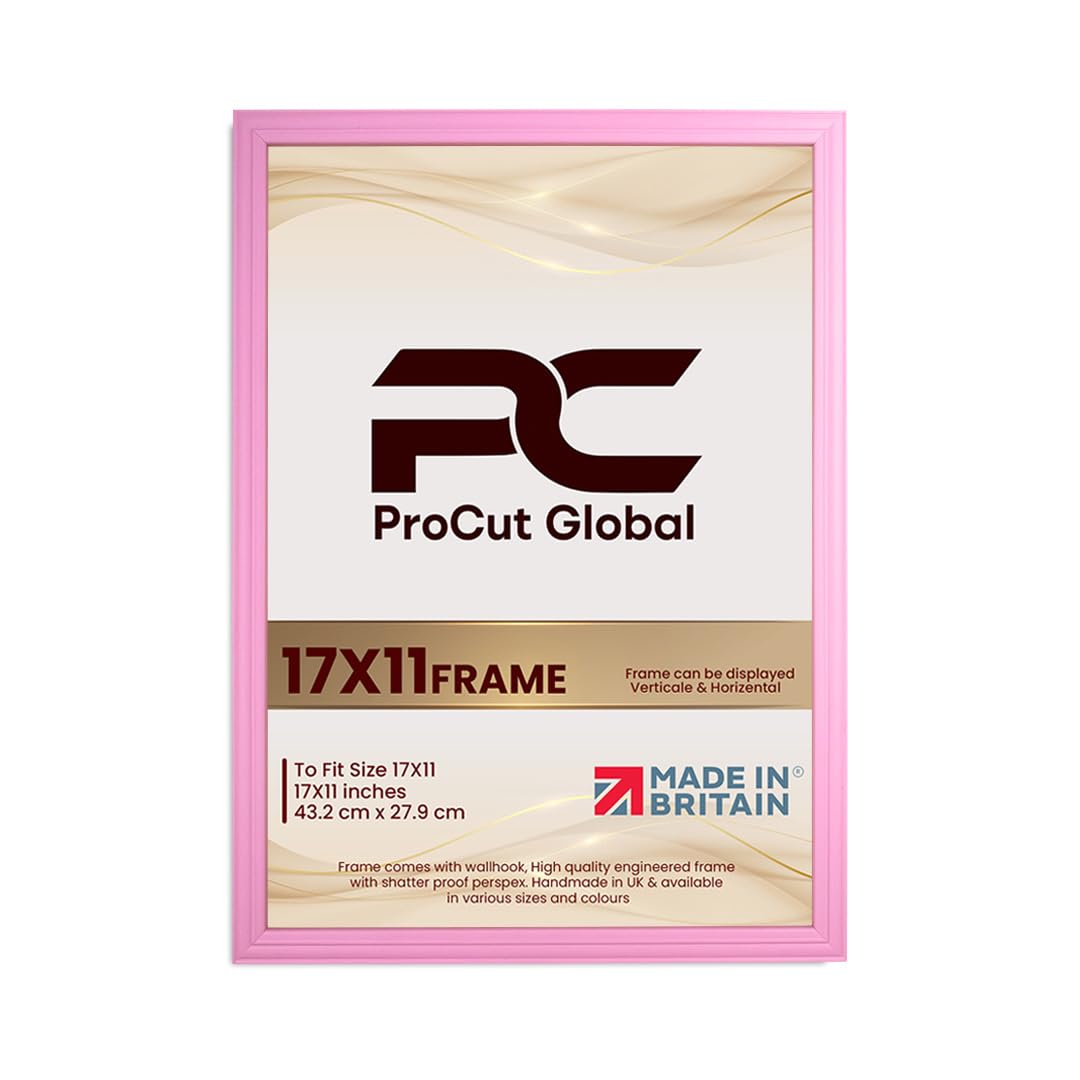 Procut Global 17x11 Pastel Pink Picture Frames - Classic Wooden Photo Frame with Shatterproof Perspex for Wall or Tabletop - Perfect for Posters, Certificates & Prints - Sizes & Colors Available