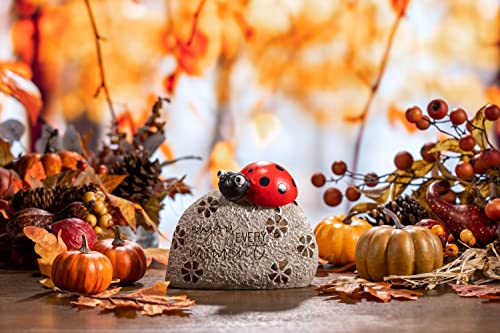 Teresa's Collections Ladybug On Stone Garden Statues With Solar Lights, Enjoy Every Moment Vivid Insect Figurines Sculptures Lawn Ornaments Outdoor Christmas Decorations For Home Patio Yard, 5.1" #TOP3