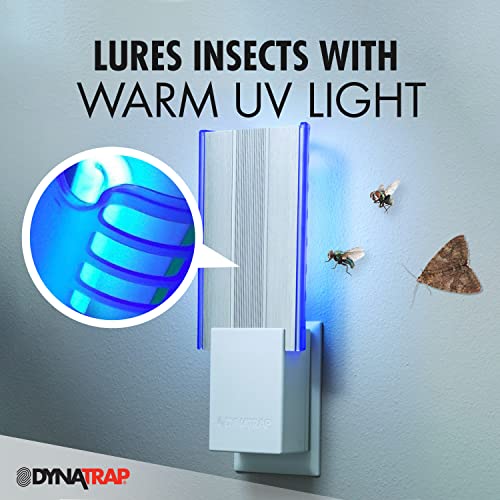 Dynatrap Dt3009W-1003P Flylight Indoor Plug-In Fly Trap For Flies, Fruit Flies, Moths, Gnats, & Other Flying Insects – Protects Up To 600 Sq Ft #TOP6