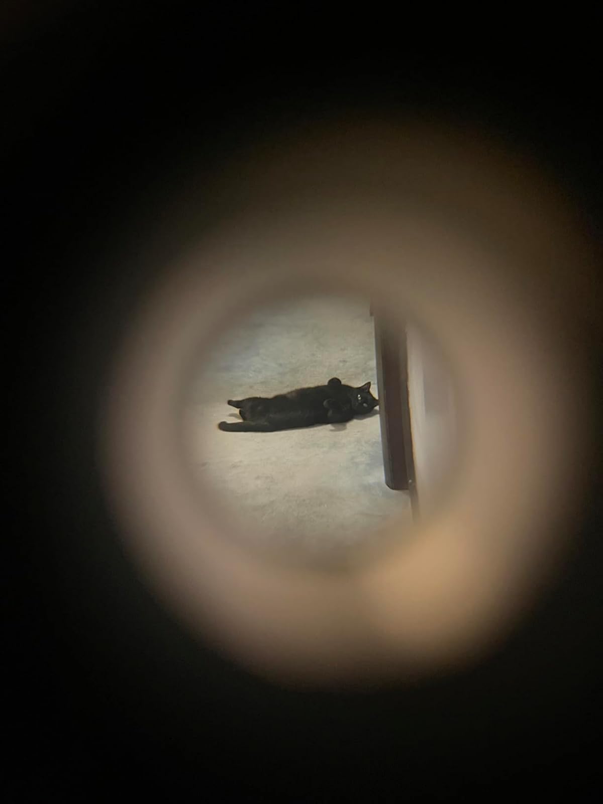 Tack, älskling! Mycket trevligt