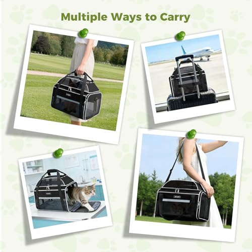 Lekespring Katzentransportboxtasche Hunde Transporttasche für Hunde und Katze, Nach Oben Ausbaubar Katzentasche bis 5kg, Transportbox Katze Hund für Der Gang zum Tierarzt Auto, M, Schwarz