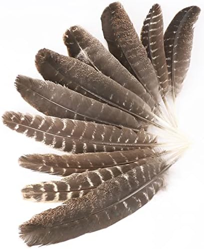 Outuxed 15pcs Natural Turkey Feathers for Crafts, 10-12 Inches Large Feathers for Hat Floral DIY Home Wedding Party Decoration Collection