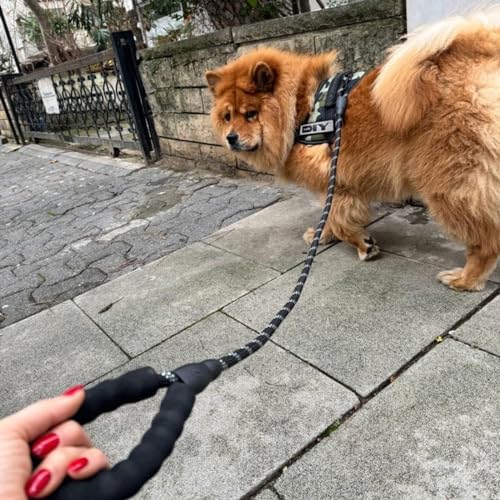 Hsport Köpek Gezdirme İpi Küçük Orta Büyük Irk Köpekler için 125 cm Sevk Tasma Kayışı (Reflektörlü) - Görsel 3