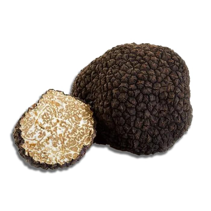 Tartufo Nero Estivo Fresco | Scorzone | Tartufi Freschi | 100 G | Calabria |Tuber Aestivum Vittadini | E TIPIC