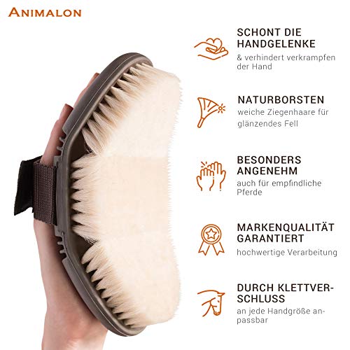 Animalon CareFlex Glanzbürste | Flexible & hochwertige Pferde-Schmuse-Bürste mit Ziegenhaar | weiche Bürste für Pferde | Kopfbürste | Glanzbürste-Pferd mit Klettverschluss | Putzzeug | Kardätsche