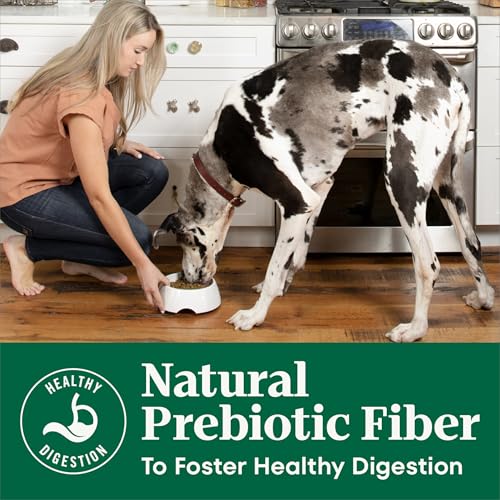 Nutro Natural Choice Adult Dry Dog Food, Chicken & Brown Rice Recipe, 5 lb. Bag