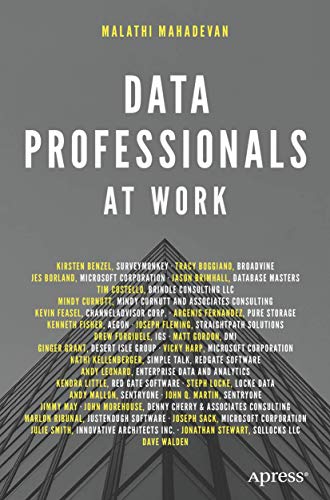 Data Professionals at Work view 2