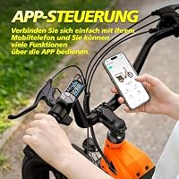 TST Elektrofahrrad für Erwachsene Lastenrad E Bike mit 20" Fat Reifen – Ansicht 6