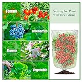 Insect Bird Barrier Mesh, Garden Netting Barrier, Bird Netting, Netting for Plant with Drawstring, 3.5 x 4.6 FT Tomato Protective Cover, Large Potted Fruit Protectors Cover for Blueberry Bushes