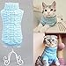 Pet Cat Sweater Kitten Clothes for Cats Small Dogs,Turtleneck Cat Clothes Pullover Soft Warm,fit Kitty,Chihuahua,Teddy,Poodle,Pug (Blue, Small)
