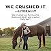 REDMOND Daily RED Crushed - Mineral Supplement for Horses (Garlic (5 LB))