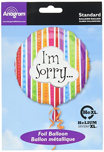 Anagram International Ballon avec Inscription « I'm Sorry » et Lignes colorées 45,7 cm