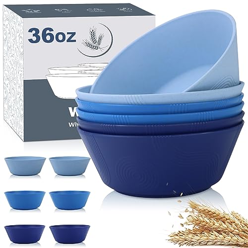 Dyserbuy Lot De 4 Bols à Céréales Incassables En Plastique Léger, Passent Au Lave-vaisselle Et Au Micro-ondes, Bols Réutilisables Pour Riz, Nouilles, Soupe, Collation, Salade De Fruits