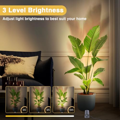 Image of URTOM 6W RGBW Uplighting Indoor Color Changing Up Lights Indoor with Remote Dimmable LED Spot Lights for Home Aluminum Accent Lighting for Party Plant Decor with 5.9 FT Plug Cord, 2 Pack