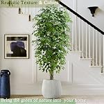 Ficus Tree artificiel:6FT Faux Sol en soie Plante réaliste Fausse Ficus Grand Poté avec Lush de Trunk tressé & Green Leaves Pot pour la maison bureau chambre Décor intérieur & A l'extérieur (6FT,1-Pack,Blanc)