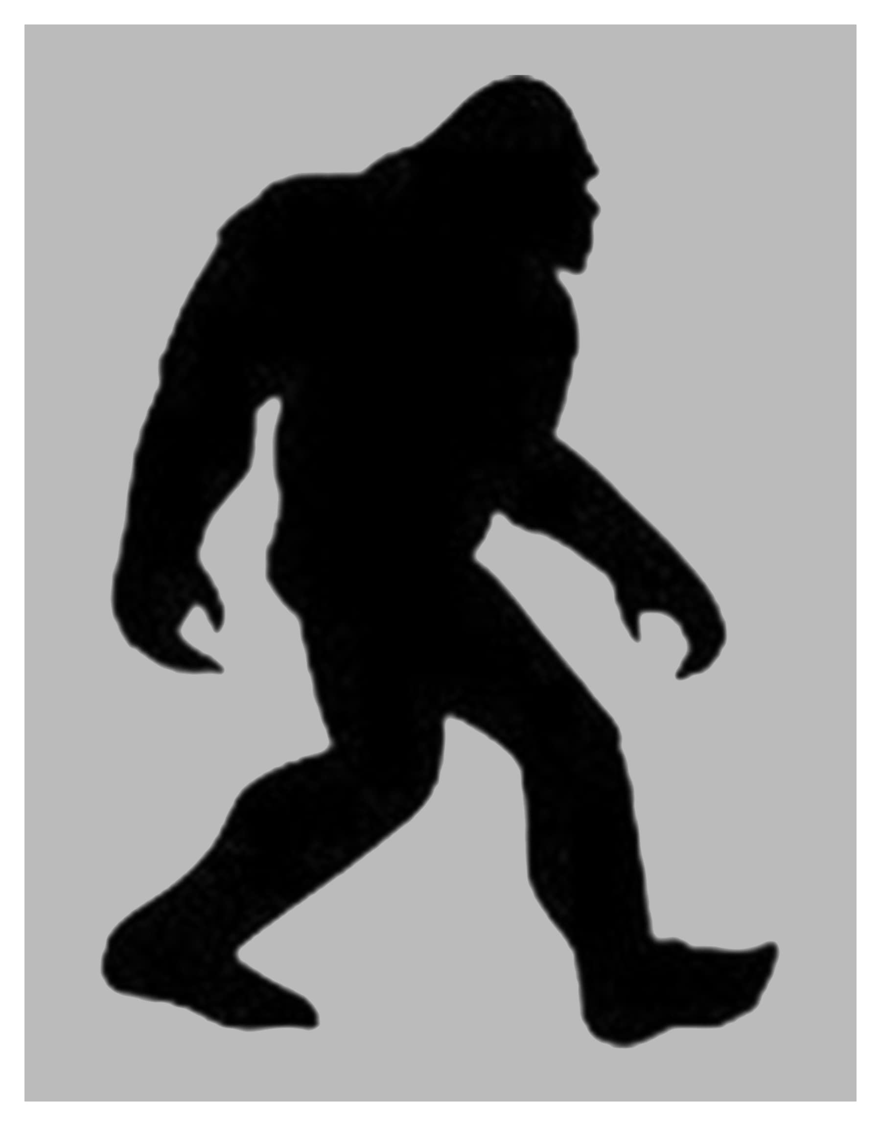 Amazon.com : Sasquatch Big Foot Bigfoot Reusable Stencil