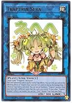 Amazon.co.jp: セラの蟲惑魔
