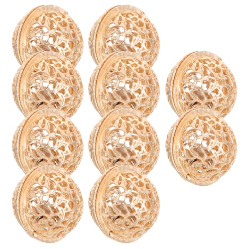 SAFIGLE 10 AEghApLvA[x ϋvnCLOx obNpbNtȒP 쐶x hƌxp