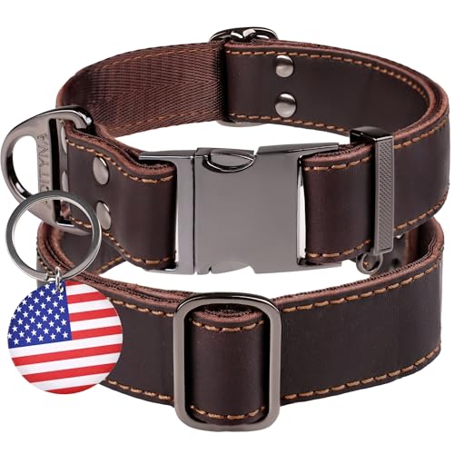 ADITYNA Leather Dog Collar with Metal Buckle -...