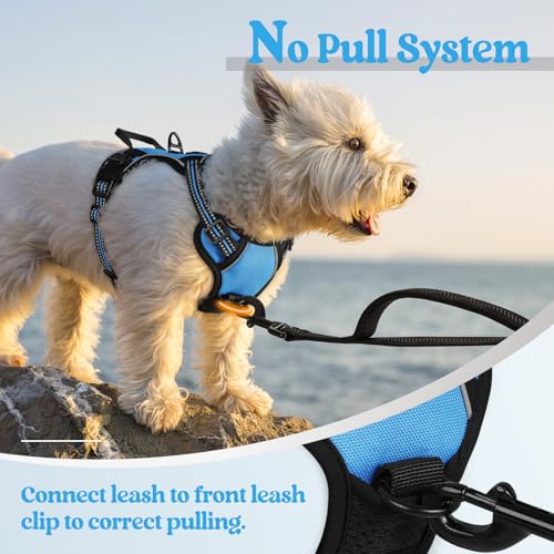 Image of rabbitgoo Dog Harness No Pull with 2 Leash Clips, Adjustable Soft Padded, Reflective Oxford No Choke Pet Vest with Easy Control Handle for Puppy, Blue, XS