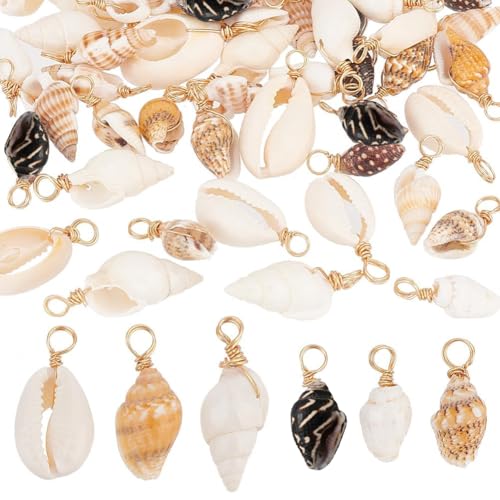 PH PandaHall 120pcs Shell Charms 6 Styles Spiral Seashells Craft Charms Cowrie Sea Shells Pendant Natural Shell Charm Conch Shells with Loop Bail for Halloween Earrings Summer Beach Jewelry Making