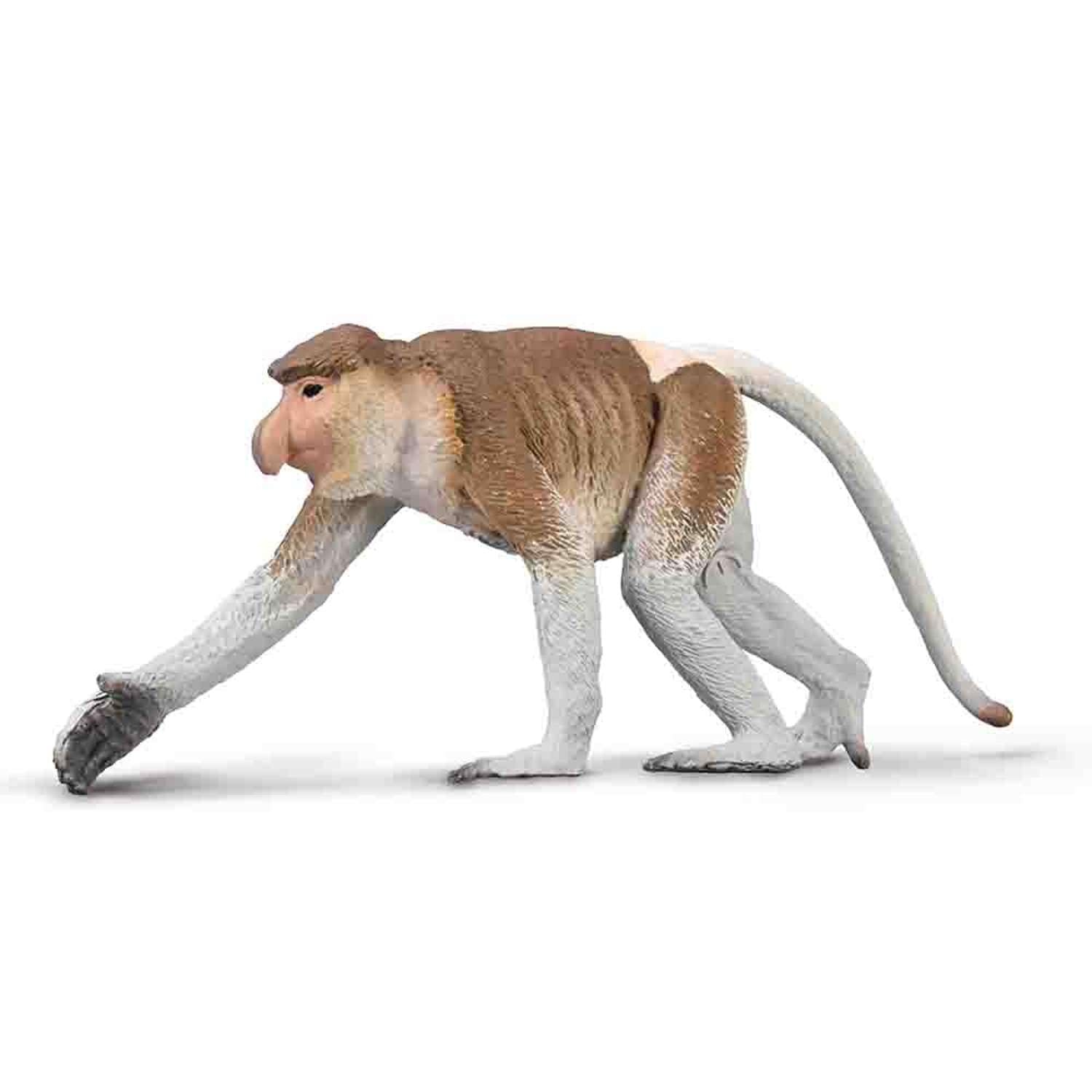 CollectA Proboscis Monkey - Realistic Hand Finished Wild Animal Figure, Jungle Toys & Figures, Wildlife Gifts For Toddlers & Kids, Age 3 + Years Old