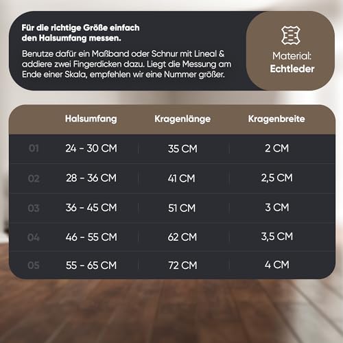 Michur Minimo Schwarz Hundehalsband Leder, Lederhalsband Hund, Halsband, Leder, in verschiedenen Größen erhältlich