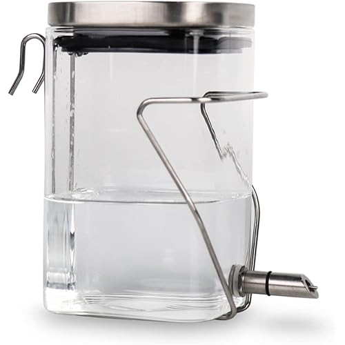 Guinea Pig Water Bottle No Drip, Rabbit Glass Waterer, Chinchilla Stainless Steel Nozzle Anti-Bite Water Dispenser for Small Animal, Bunny, Hamster, Sugar Glider and Rat(20.2oz)