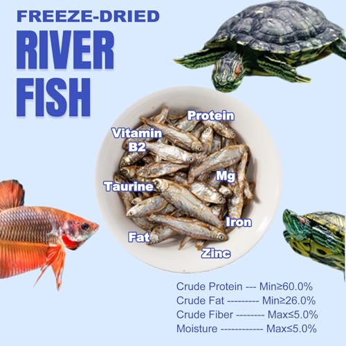 Amzey 2.3 oz Dried River Fish - Natural Food for Turtles, Terrapins, Reptiles and Large Tropical Fish