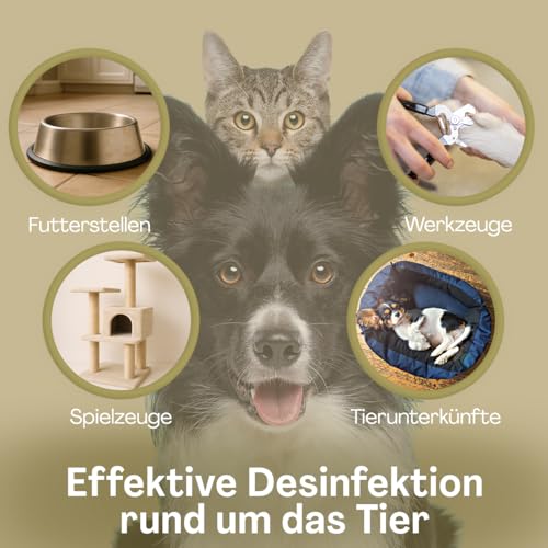 BIO SANITAS PROTECT Haustier Desinfektionsspray, 500 ml Hunde Desinfektion alkoholfrei für Katzen und Hunde, Desinfektionsmittel für Näpfe, Spielzeug, Transportboxen u.v.m., Geruchsneutralisierend