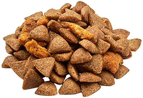Amazon Brand - Wonder Bound High Protein, Adult Dry Dog Food - Lamb & Brown Rice Recipe, 30 lb bag - Image 6