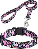 HQYDDMI Dog Collar and Leash Set for Small Dogs Cats, with Floral Print, Soft Comfortable Adjustable