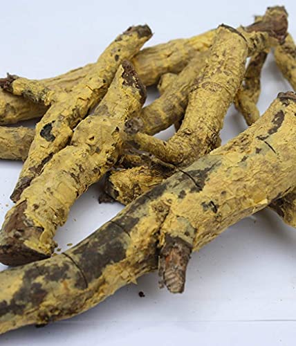 Salacia Reticulata Ekanayakam Ponkoranti Anukudu Cettu Ponkaranti 1Kg #TOP3