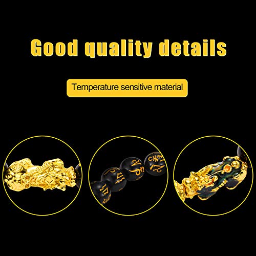 2 Pcs 12 mm Feng Shui Good Luck Bracelets for Women Chinese Bracelet with Hand Carved Black Amulet Bead Pi Xiu for Attracting Wealth and Good Luck for Women Men2