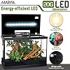 Marina 20 Gallon LED Aquarium Kit – Complete Fish Tank Setup with Filter, Lighting & Accessories