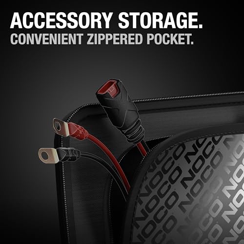 Portable Car Battery Charger Smart