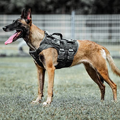 Comparison of Best Tactical Gear For Dogs [Experts 2023