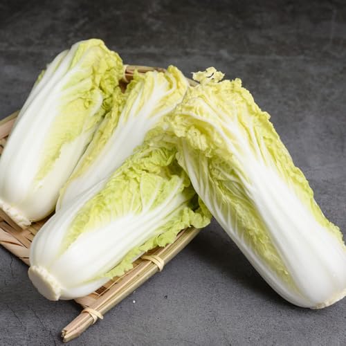 Comprar plantas de col china Plantas de jardín perennes resistentes col china verduras balcón invernadero semillas hortalizas tradicionales exóticas resistentes camas elevadas para 1000pcs