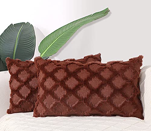 Toes Home Boho Plush Throw Pillow Covers, Decorative Pillows Cases for Couch 12x20 Set of 2, Velvet Cushion Covers for Living Room Bed Sofa Home Bedding